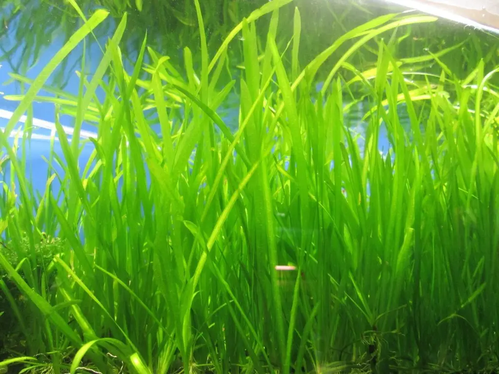 s-l1200.webp