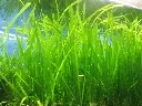 s-l1200.webp
