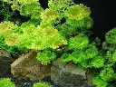 s-l1200 (1).webp