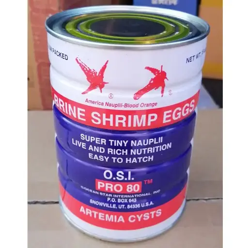 Brine Shrimp Egg 